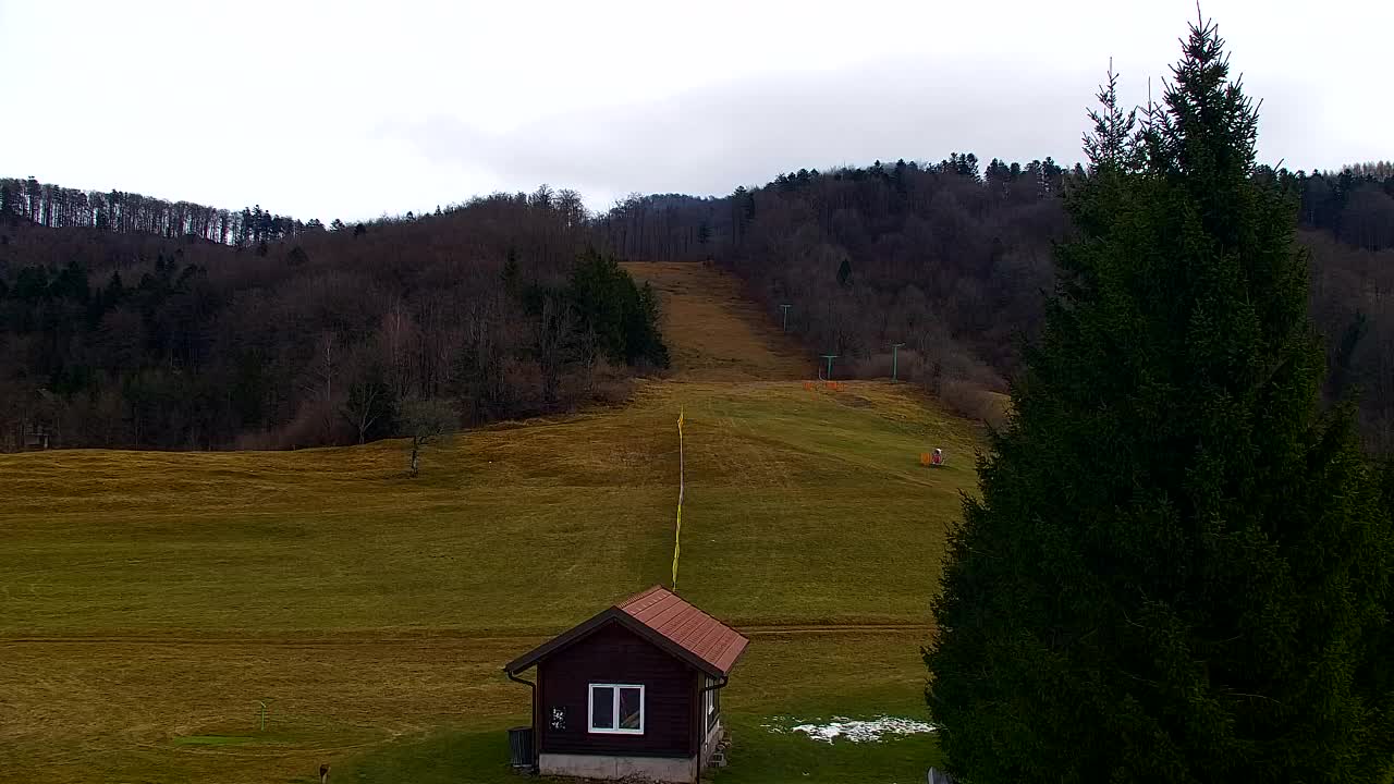 Web kamera Lokve – Ljepota Trnovske šume