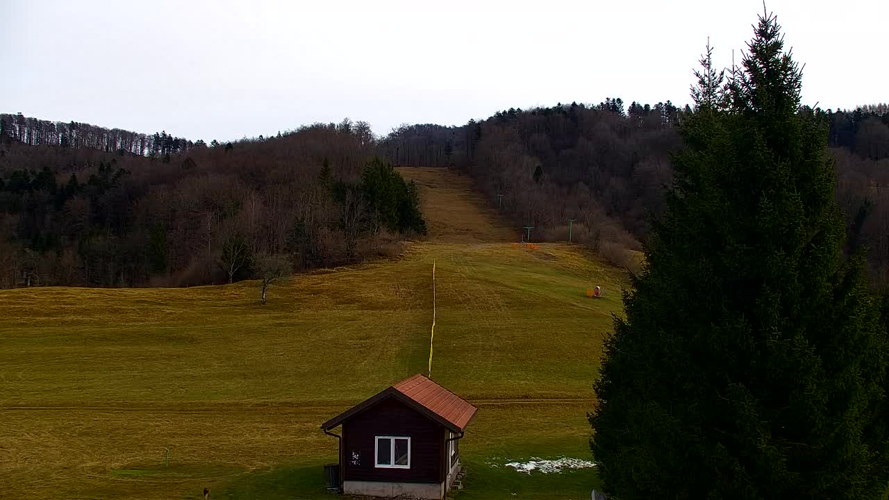 Webcam Loqua / Lokve – La bellezza della selva di Tarnova