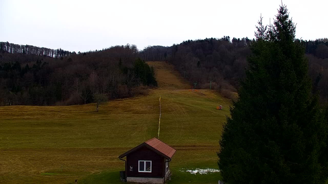 Webcam Lokve – The beauty of the Trnovo forest