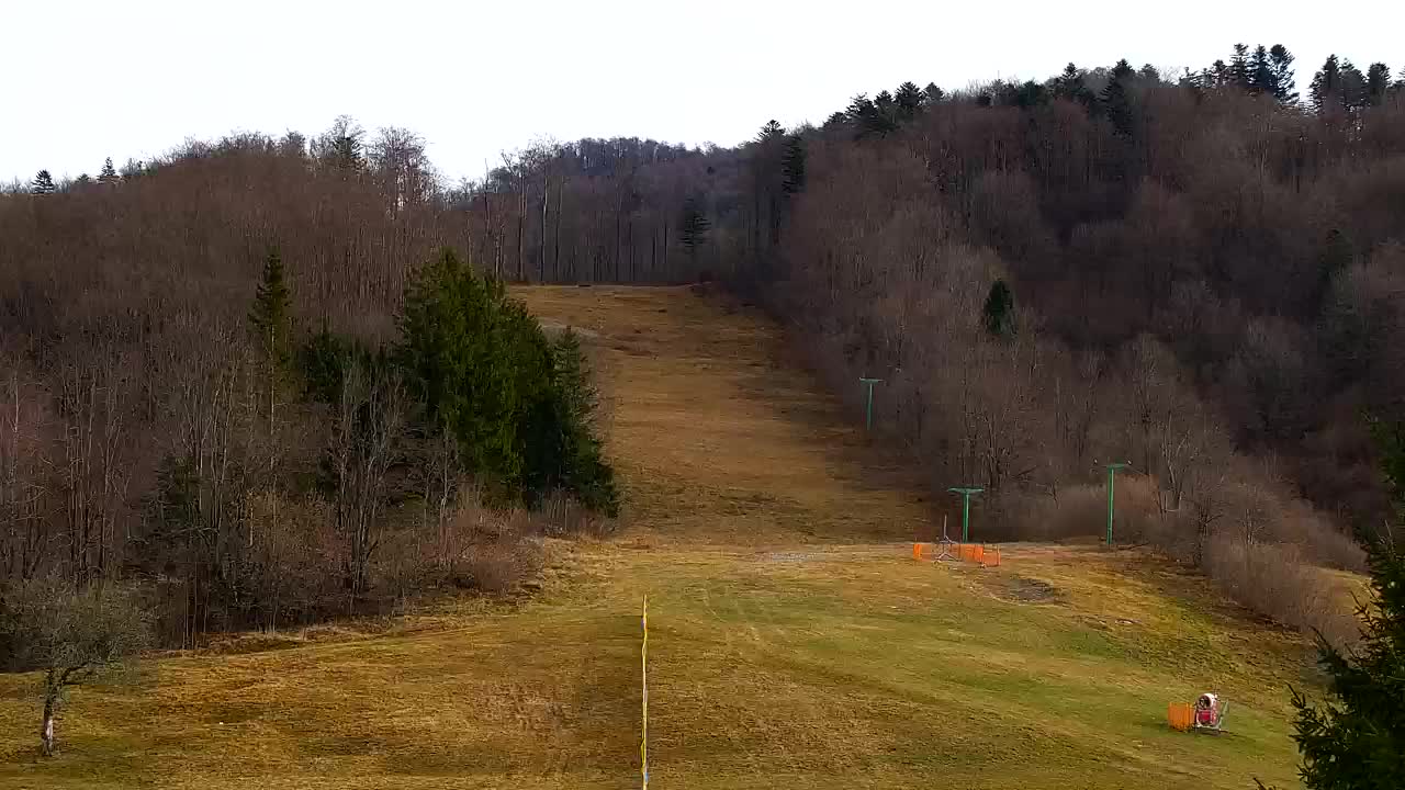 Webcam Lokve – La beauté de la forêt de Trnovo