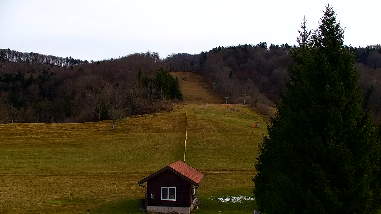 Lokve kamera – Naravne lepote Trnovskega gozda