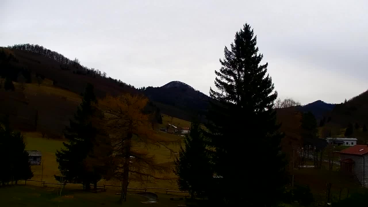 Webcam Lokve – The beauty of the Trnovo forest