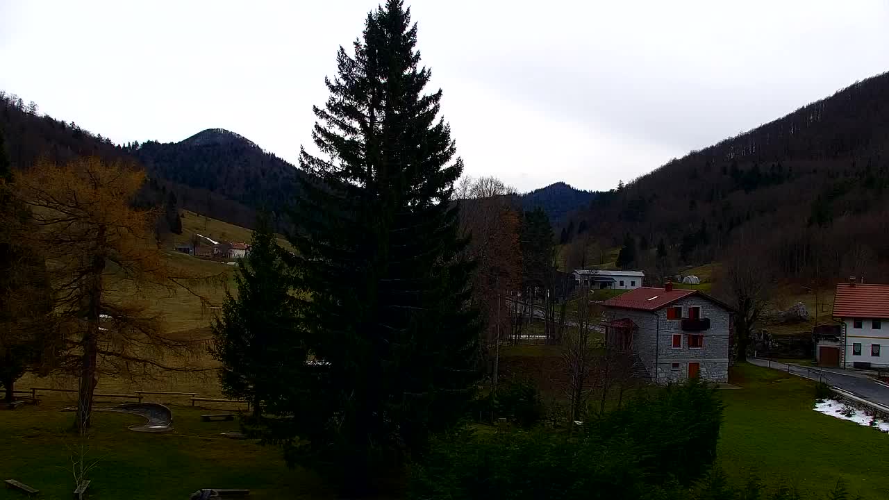 Camera en vivo Lokve – La belleza del bosque de Trnovo