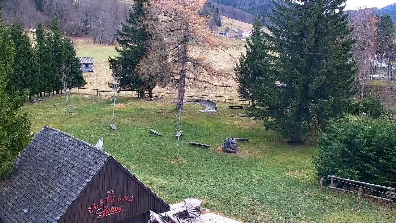 Webcam Lokve – La beauté de la forêt de Trnovo