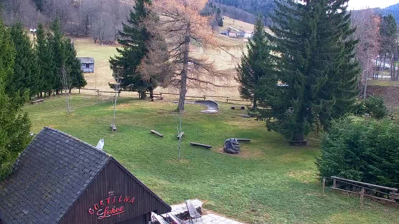 Lokve kamera – Naravne lepote Trnovskega gozda