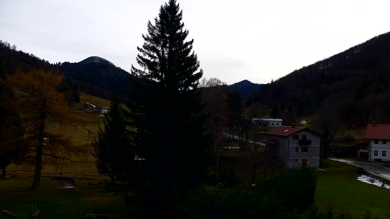 Webcam Lokve – La beauté de la forêt de Trnovo