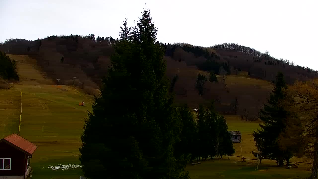 Webcam Lokve – The beauty of the Trnovo forest