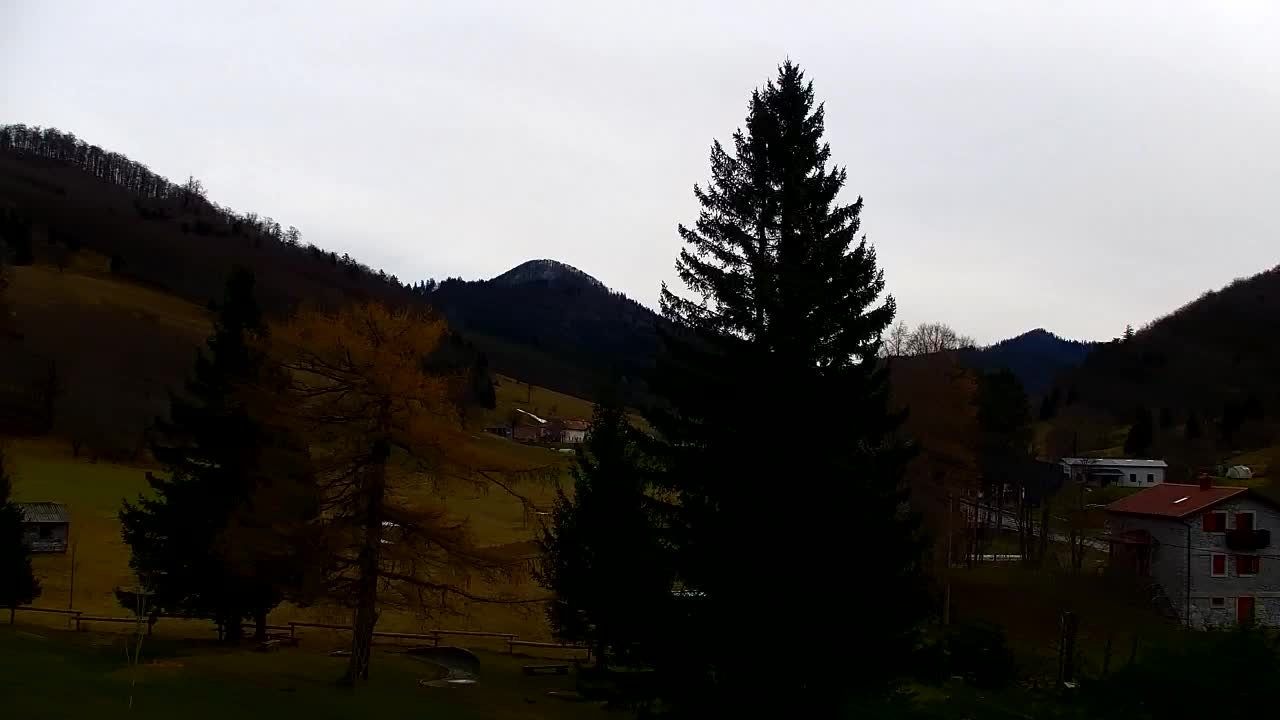 Webcam Lokve – La beauté de la forêt de Trnovo