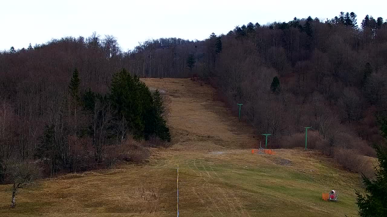 Webcam Lokve – La beauté de la forêt de Trnovo