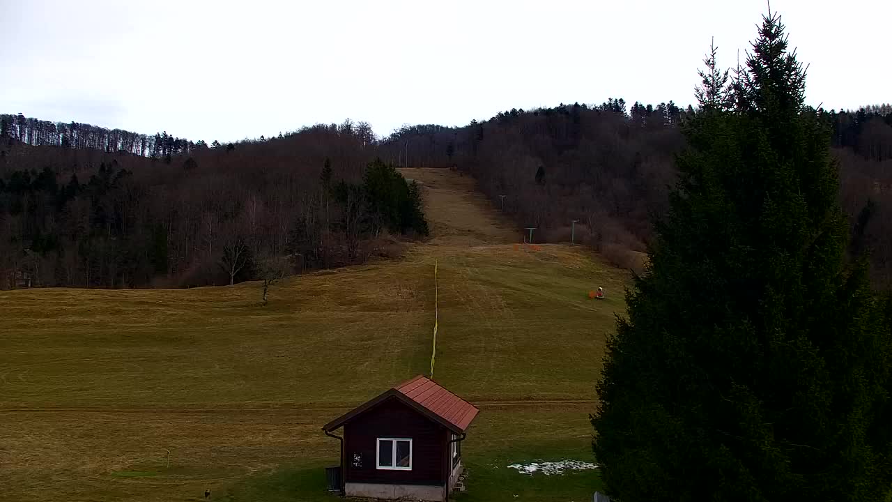 Webcam Loqua / Lokve – La bellezza della selva di Tarnova