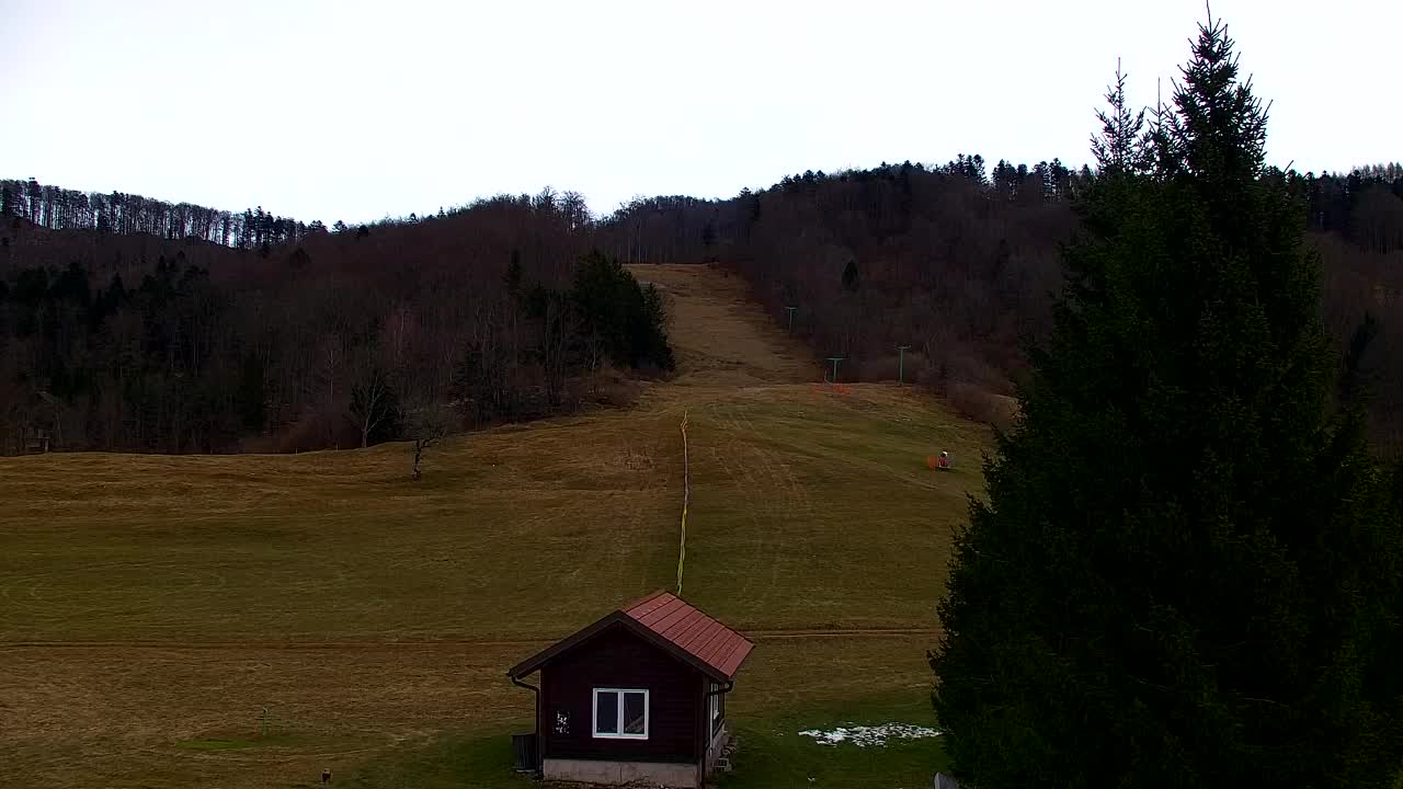 Webcam Loqua / Lokve – La bellezza della selva di Tarnova