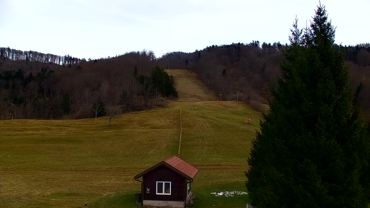 Webcam Lokve – The beauty of the Trnovo forest
