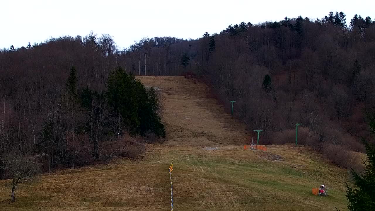 Webcam Lokve – La beauté de la forêt de Trnovo