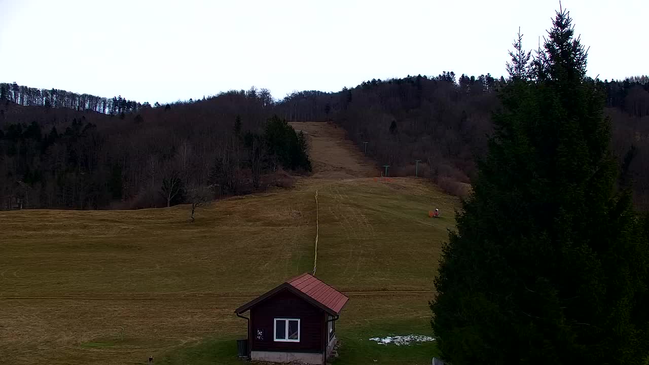 Webcam Lokve – The beauty of the Trnovo forest