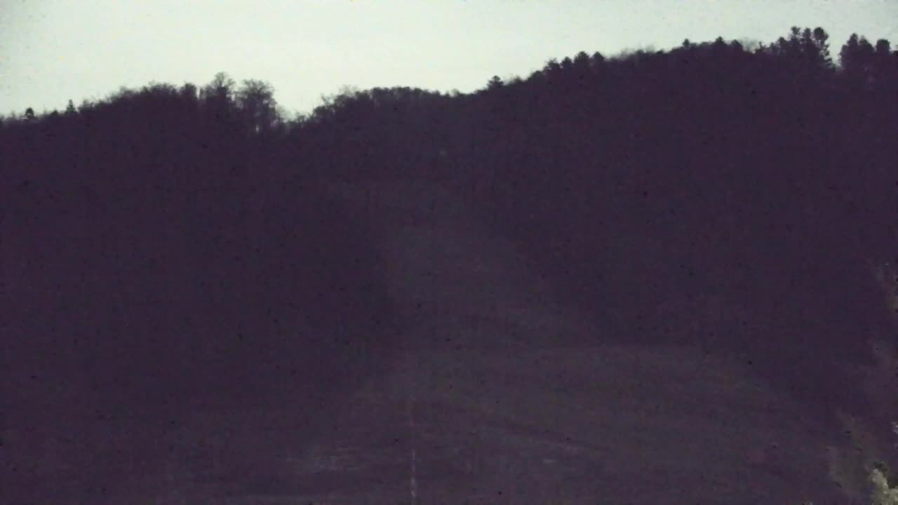 Webcam Loqua / Lokve – La bellezza della selva di Tarnova