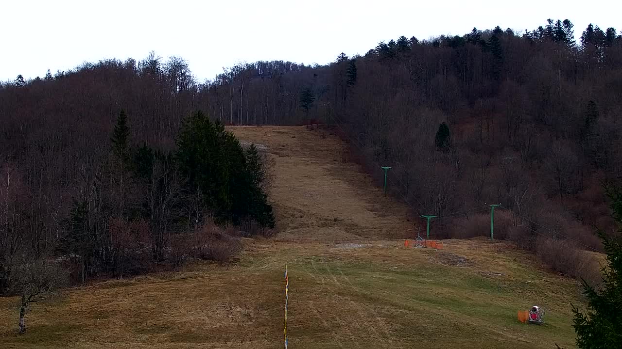 Webcam Lokve – La beauté de la forêt de Trnovo