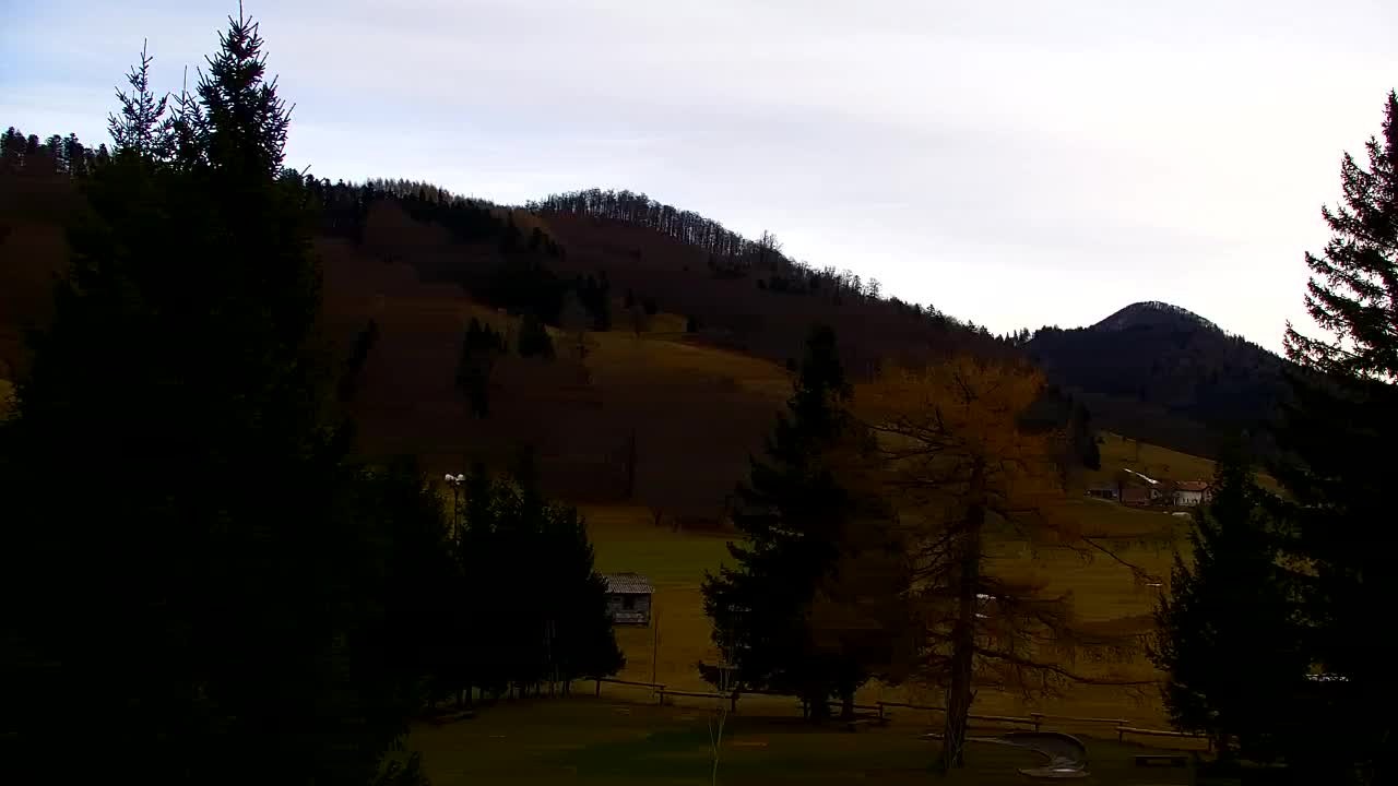 Webcam Lokve – La beauté de la forêt de Trnovo