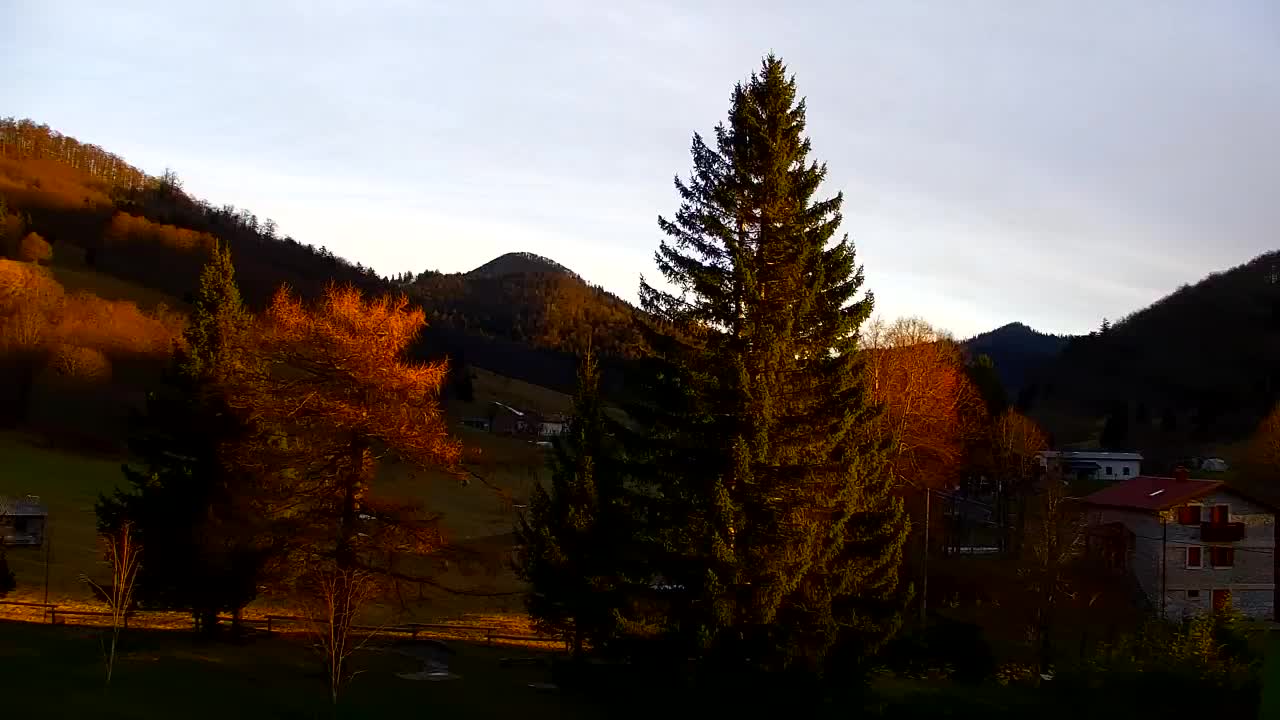 Webcam Lokve – La beauté de la forêt de Trnovo