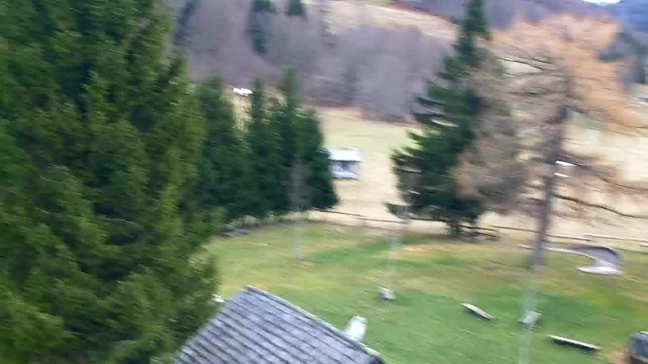 Webcam Lokve – La beauté de la forêt de Trnovo