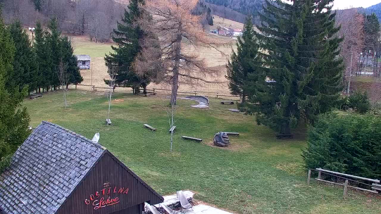 Webcam Lokve – La beauté de la forêt de Trnovo