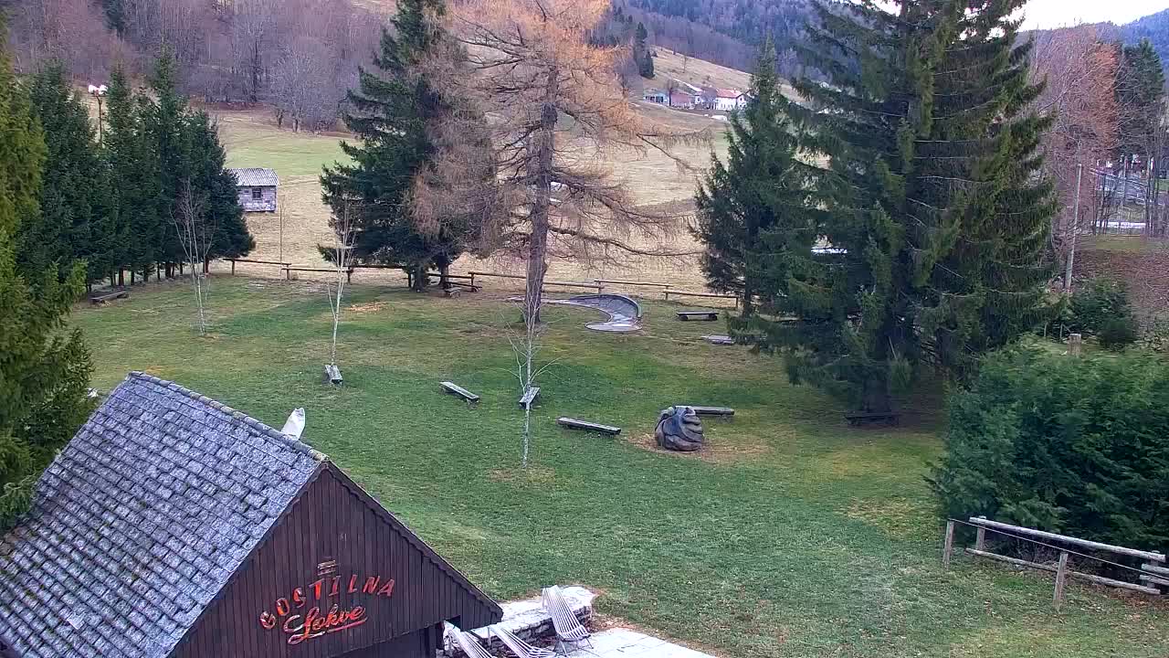 Webcam Lokve – La beauté de la forêt de Trnovo