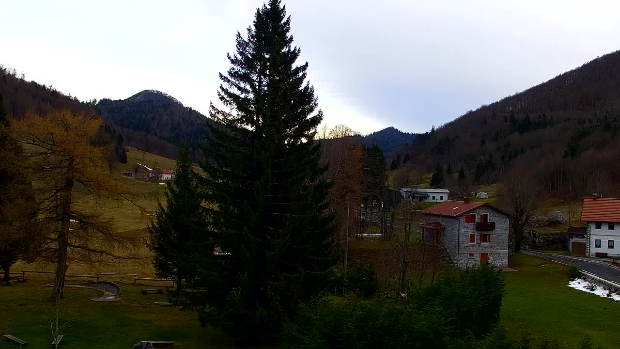 Webcam Lokve – La beauté de la forêt de Trnovo