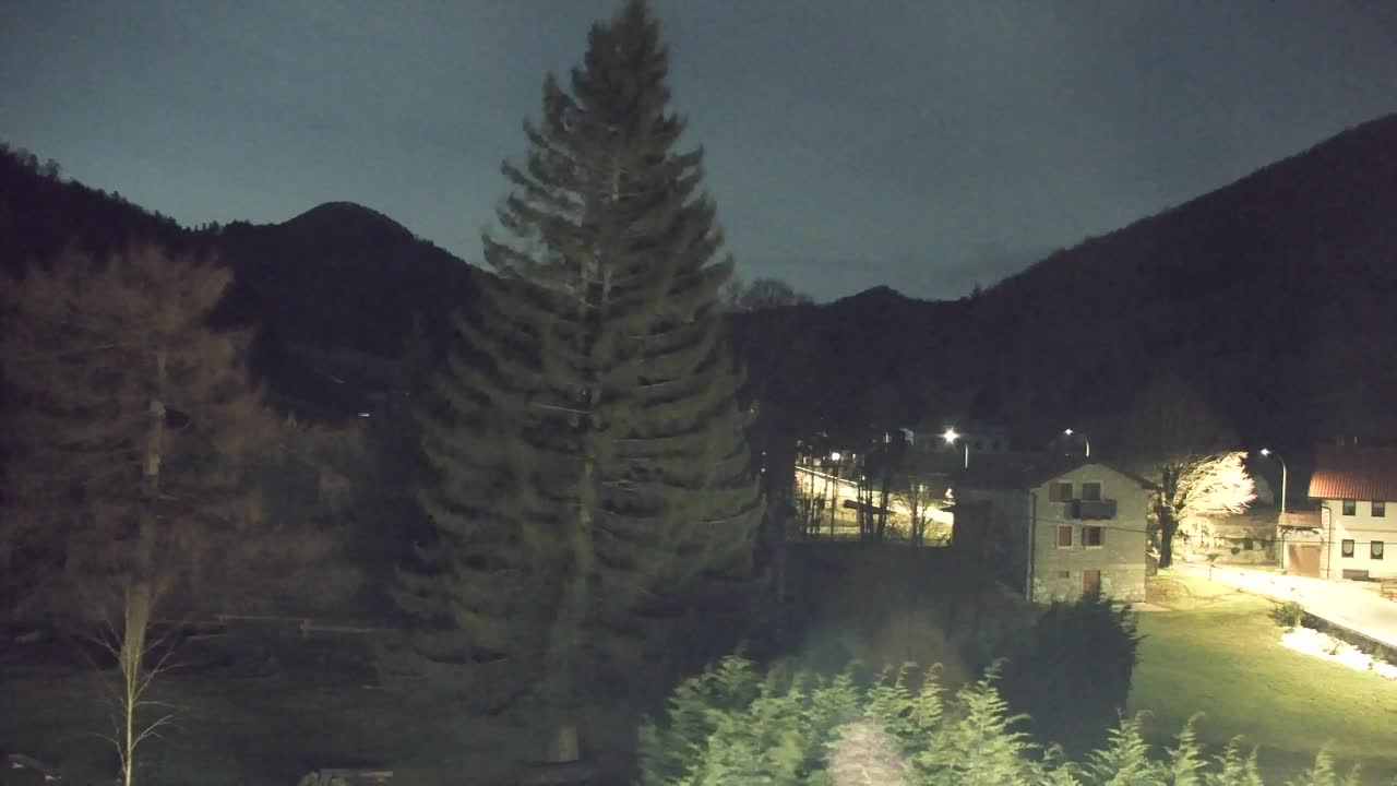 Webcam Lokve – The beauty of the Trnovo forest