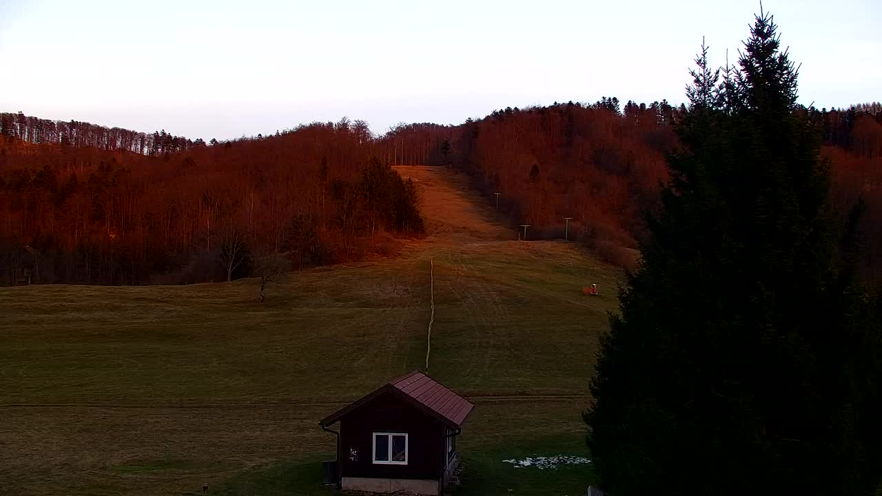 Webcam Loqua / Lokve – La bellezza della selva di Tarnova
