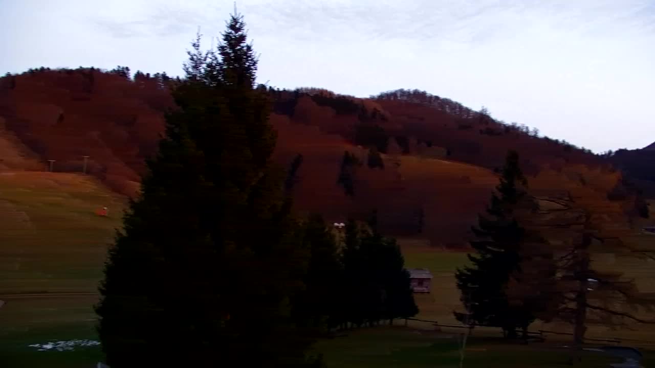 Web kamera Lokve – Ljepota Trnovske šume