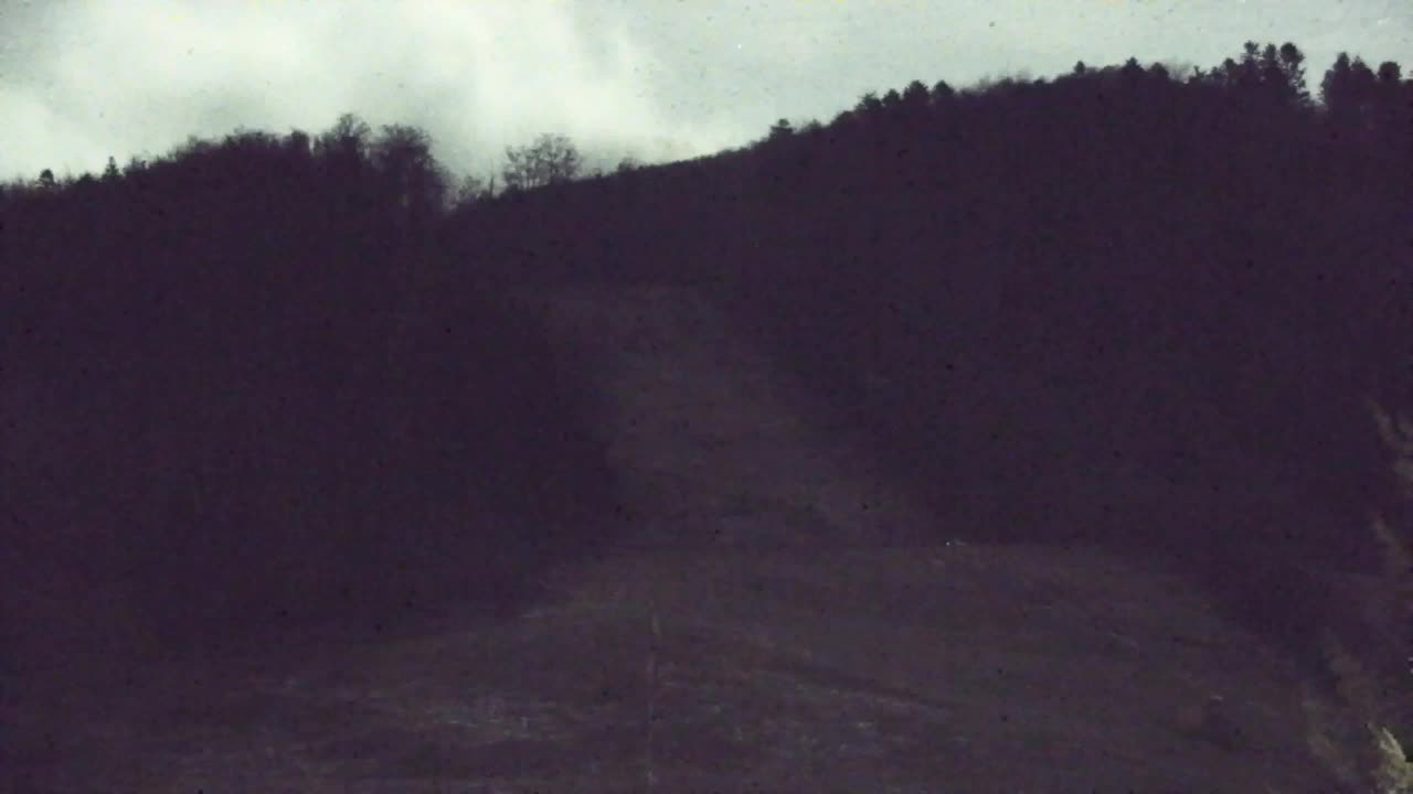 Webcam Lokve – La beauté de la forêt de Trnovo