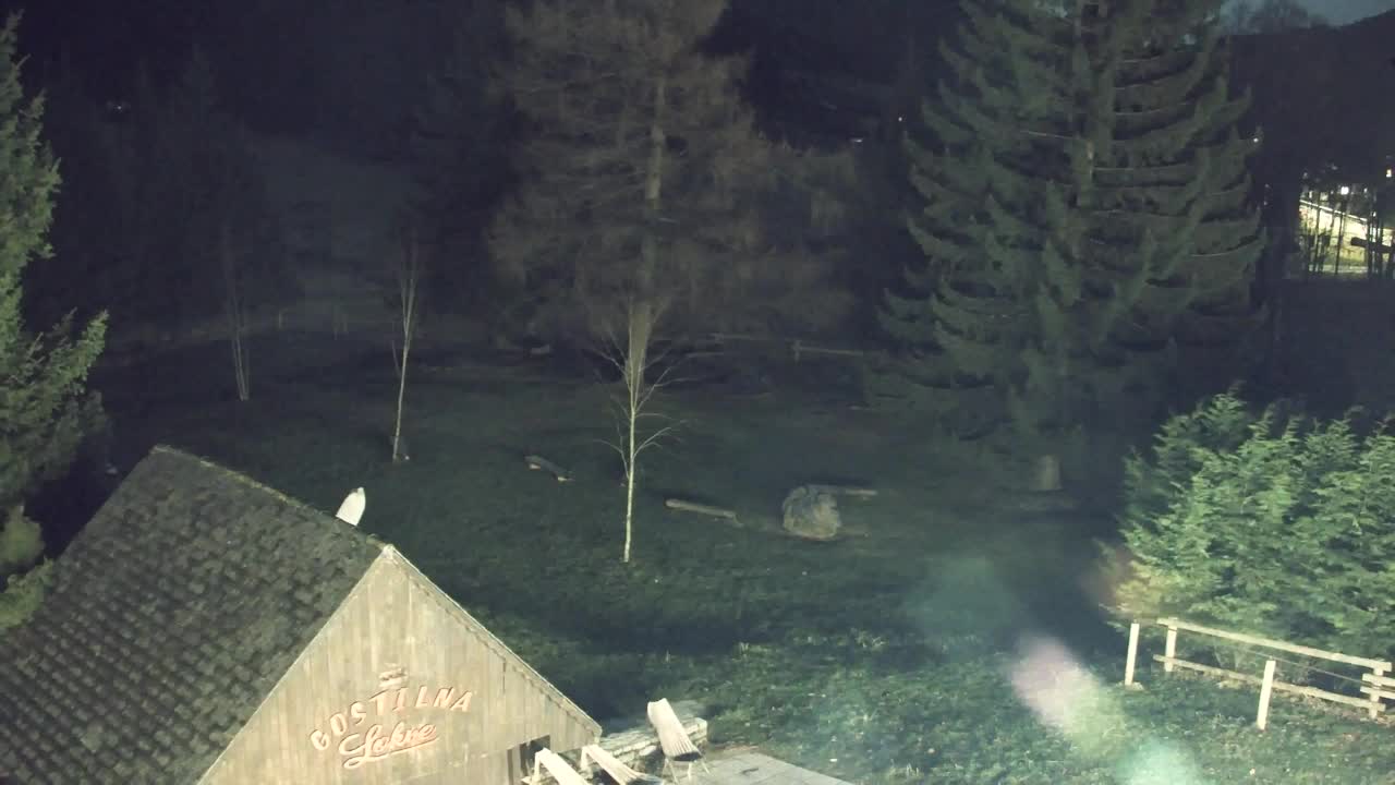 Webcam Lokve – Die Schönheit des Trnovo-Waldes