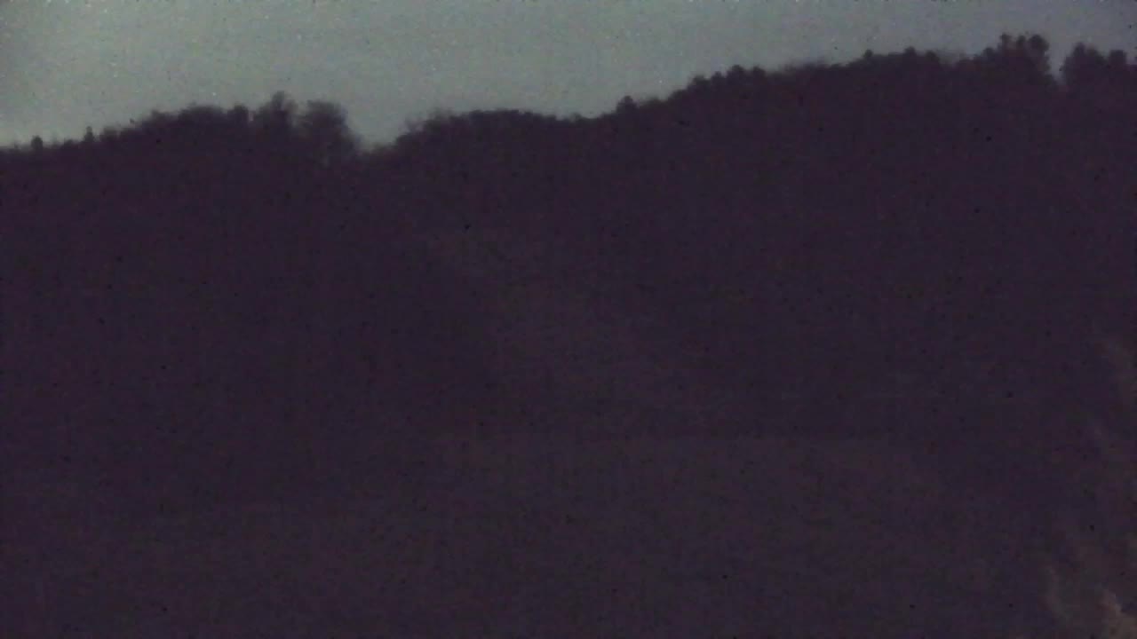 Webcam Lokve – The beauty of the Trnovo forest