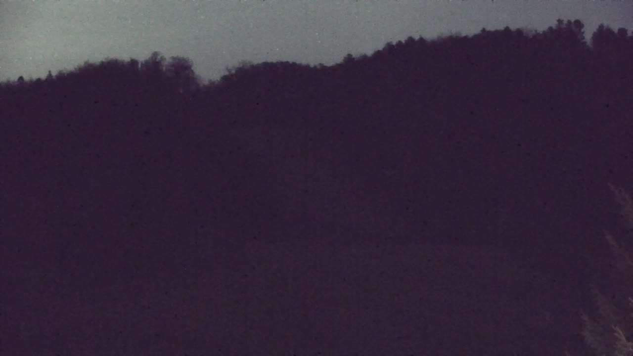 Camera en vivo Lokve – La belleza del bosque de Trnovo