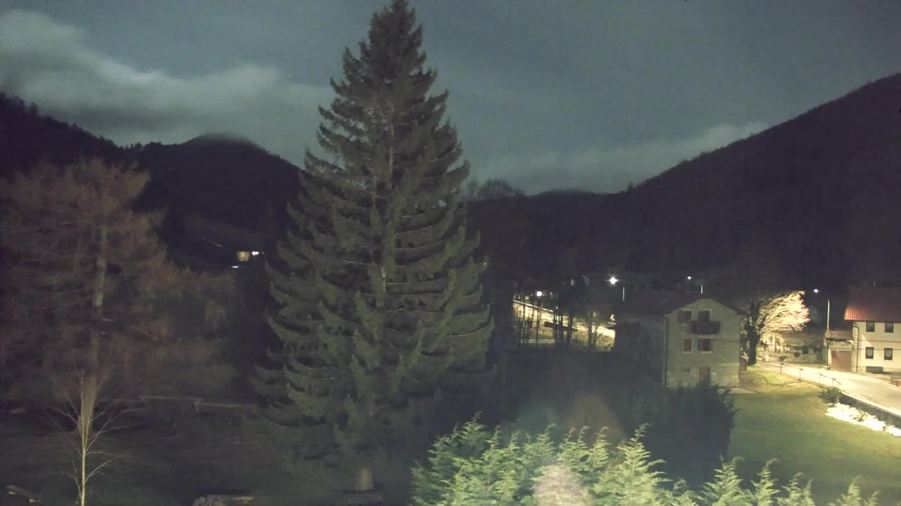 Webcam Lokve – The beauty of the Trnovo forest