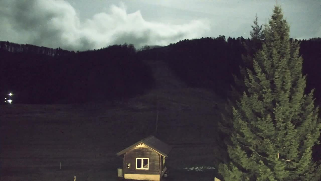 Webcam Lokve – The beauty of the Trnovo forest