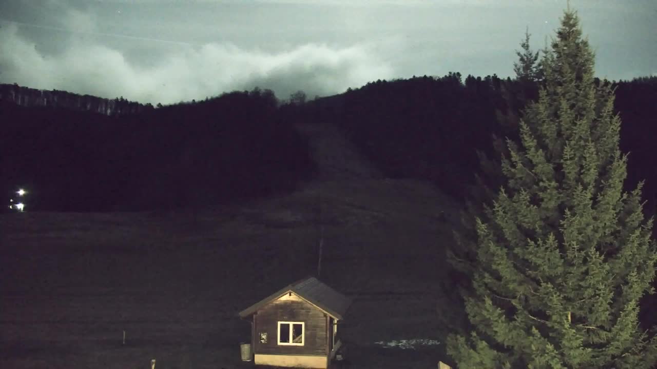 Webcam Loqua / Lokve – La bellezza della selva di Tarnova