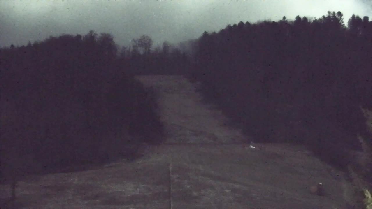 Webcam Lokve – The beauty of the Trnovo forest