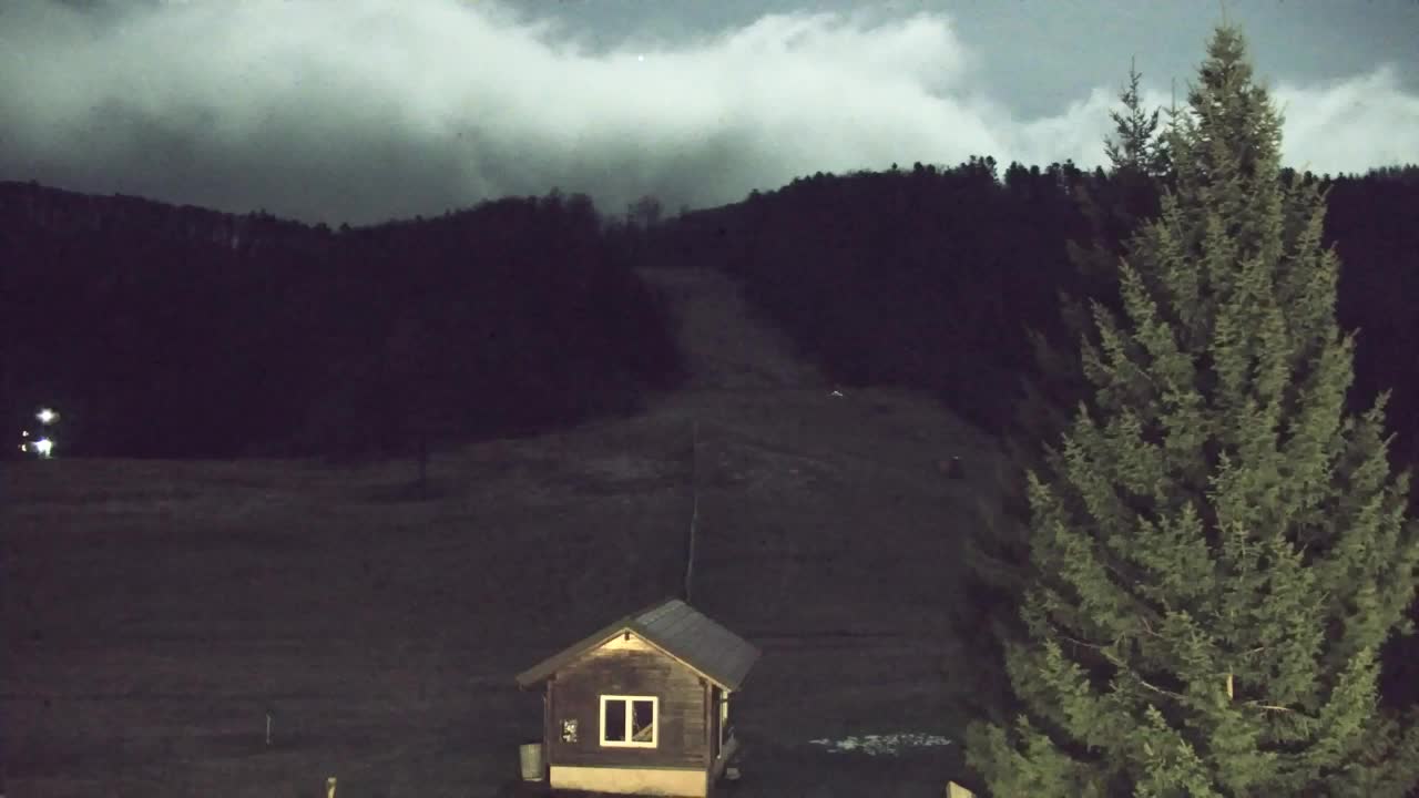 Camera en vivo Lokve – La belleza del bosque de Trnovo