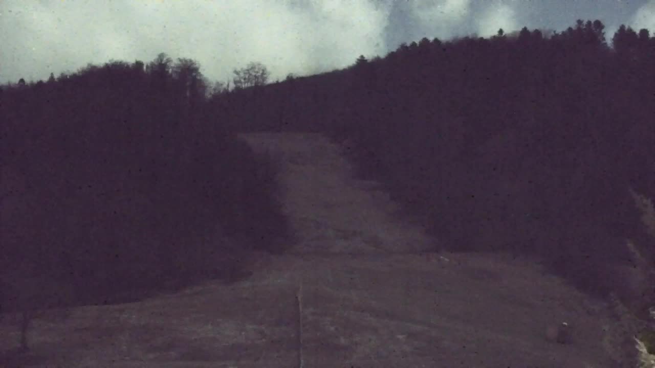 Camera en vivo Lokve – La belleza del bosque de Trnovo