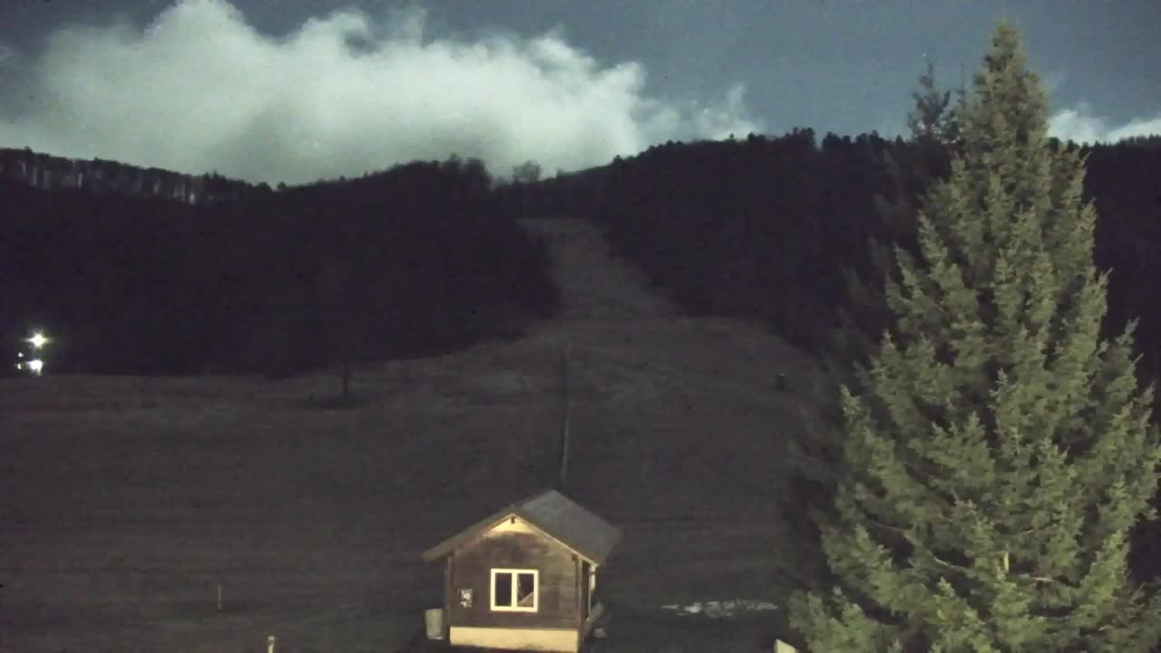 Webcam Lokve – La beauté de la forêt de Trnovo