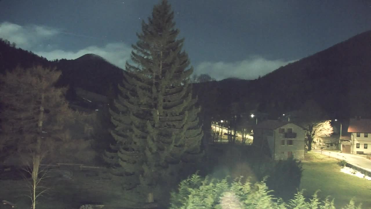 Webcam Lokve – La beauté de la forêt de Trnovo