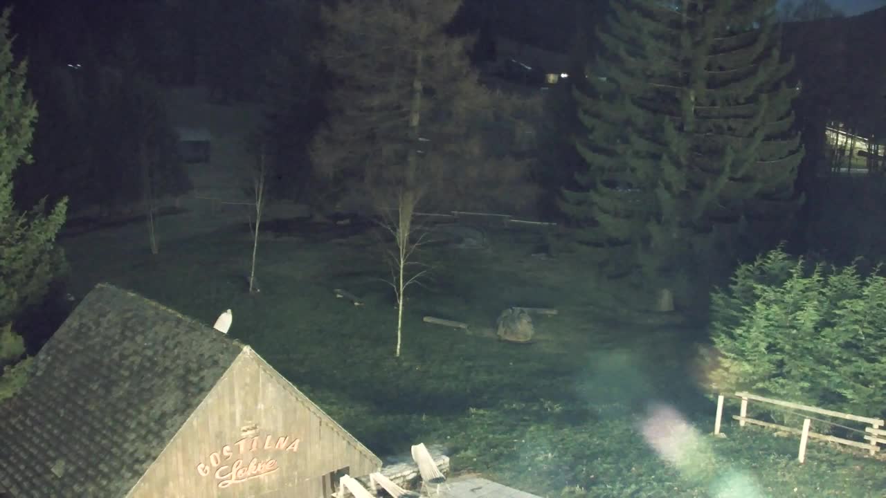 Webcam Lokve – La beauté de la forêt de Trnovo