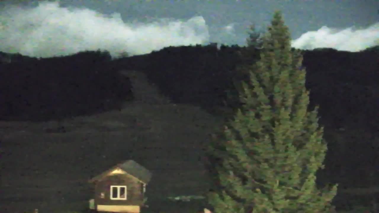 Webcam Loqua / Lokve – La bellezza della selva di Tarnova