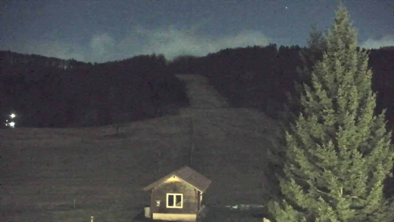 Webcam Lokve – The beauty of the Trnovo forest