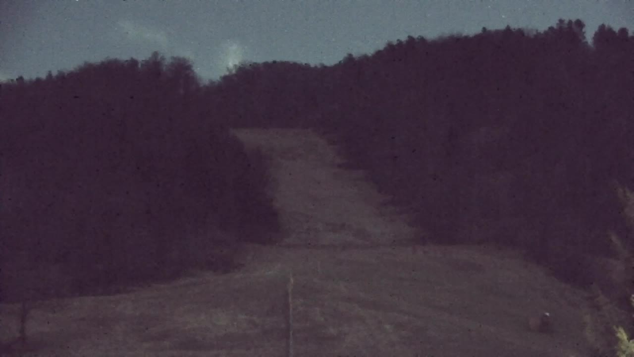 Webcam Lokve – La beauté de la forêt de Trnovo