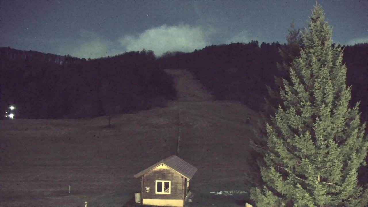 Webcam Lokve – The beauty of the Trnovo forest