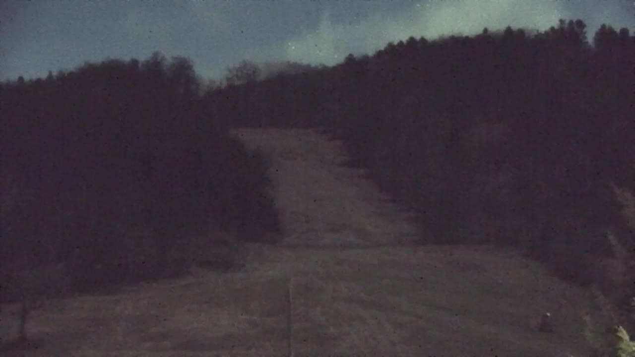 Webcam Lokve – La beauté de la forêt de Trnovo