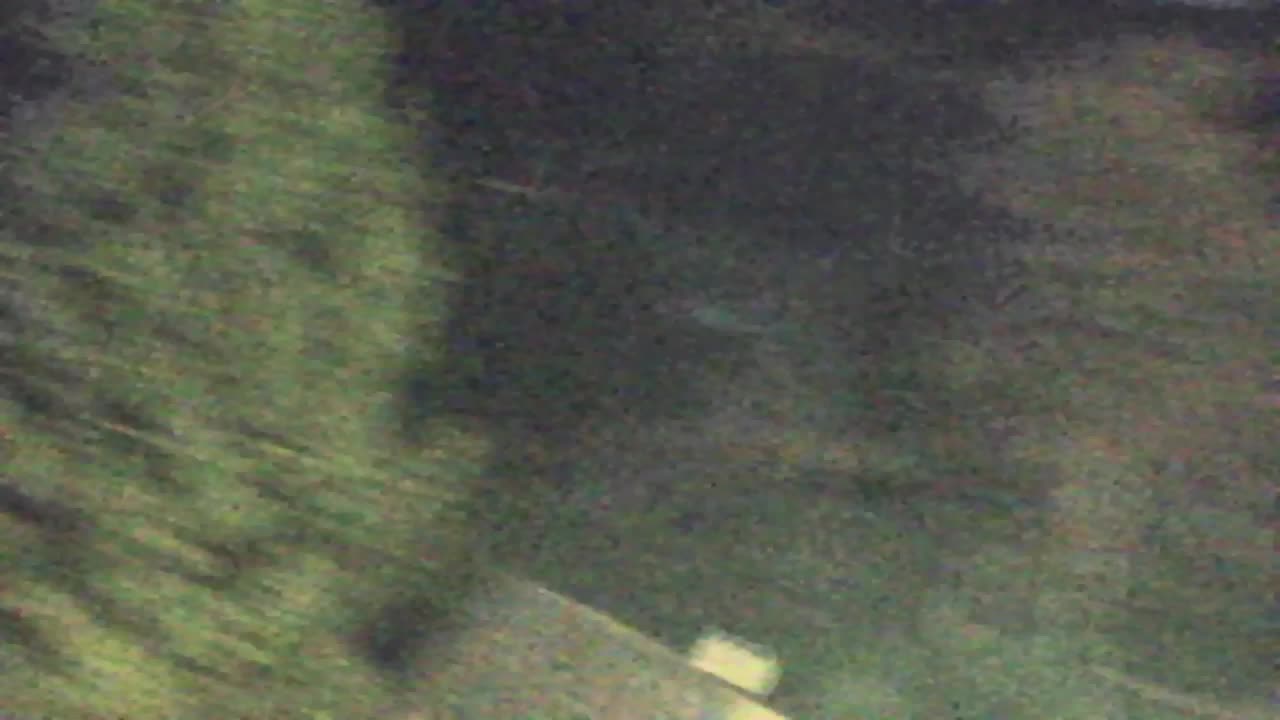 Webcam Lokve – The beauty of the Trnovo forest