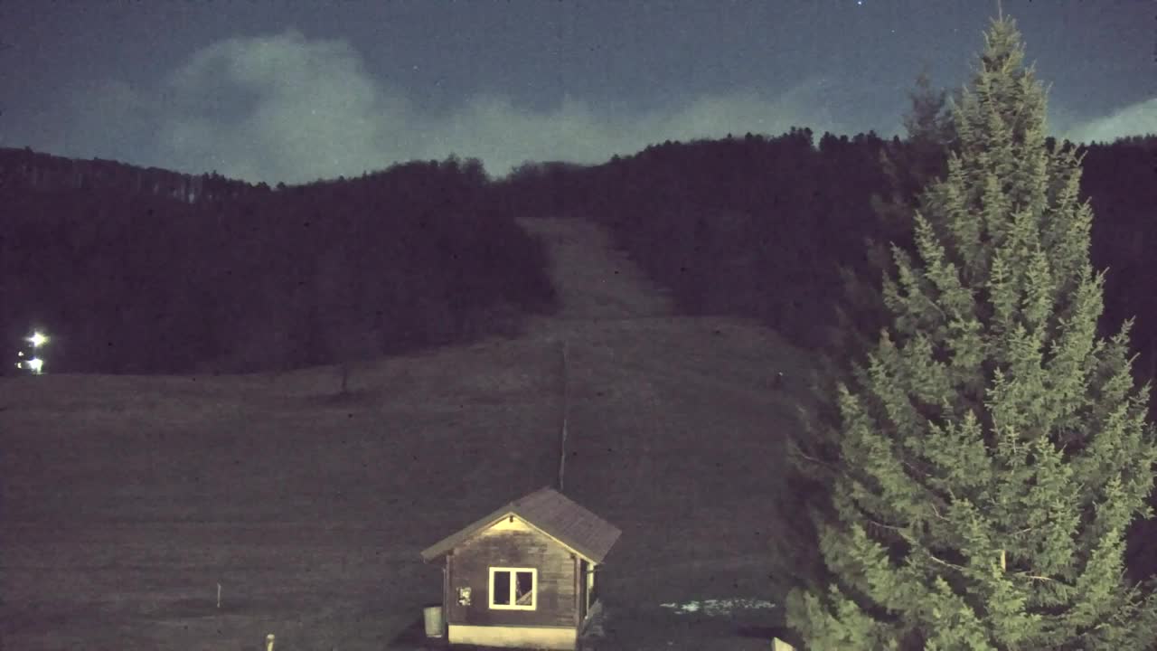 Webcam Lokve – Die Schönheit des Trnovo-Waldes