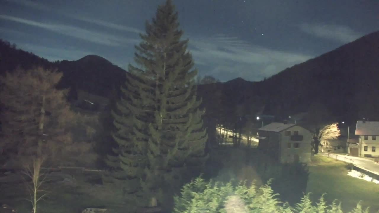 Webcam Loqua / Lokve – La bellezza della selva di Tarnova